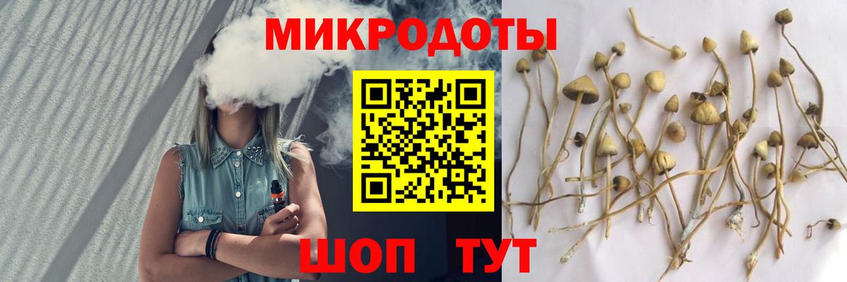 Серов  Псилоцибиновые грибы Psilocybe  Вход с VPN 